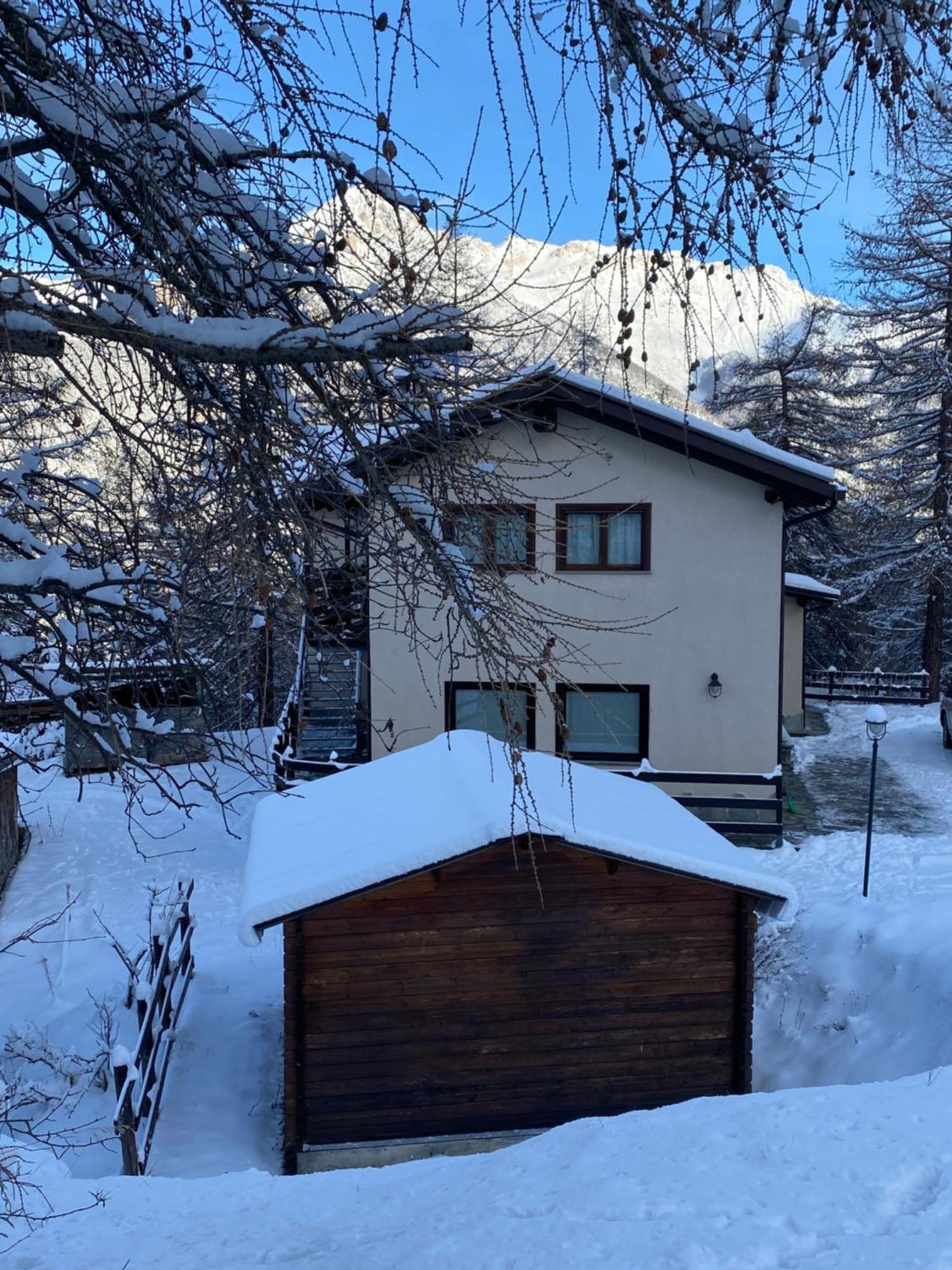 Green Mountain Lodge Oulx Exteriör bild